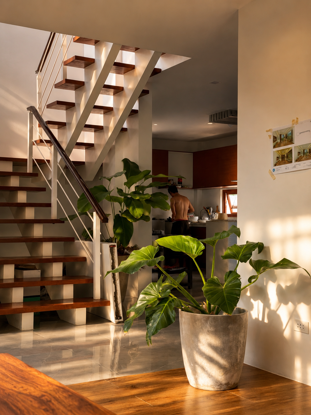 Contemporary Tropical House — gallery image 2